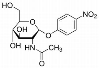 4-硝基苯基N-乙酰基-α- D -氨基葡萄糖苷